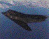 IMG032.GIF.cst.iff