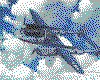 IMG030.GIF.cst.iff