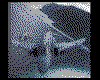 IMG021.GIF.cst.iff