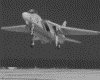 IMG019.GIF.gst.iff