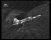 IMG016.GIF.gst.iff
