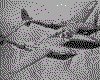 IMG014.GIF.cst.iff
