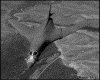 IMG012.GIF.gst.iff