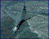 IMG012.GIF.cst.iff