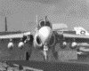 IMG011.GIF.gst.iff