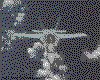 IMG009.GIF.cst.iff