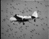 IMG007.GIF.gst.iff