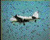 IMG007.GIF.cst.iff