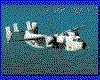 IMG002.GIF.cst.iff