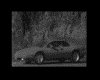 IMG040.GIF.gst.iff