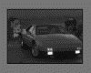 IMG019.GIF.gst.iff