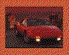 IMG019.GIF.cst.iff