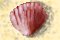 Shell2.iff