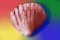 Shell2-S.iff