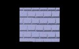 Shingles.pic.iff