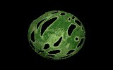 FrogSkin.pic.iff