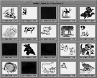 Tiere_5_B.iff