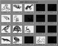 Tiere_5_A.iff