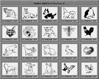 Tiere_4_C.iff