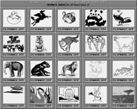 Tiere_1_C.iff