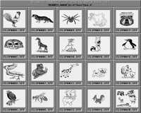 Tiere_1_A.iff