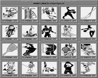 Sport_9_B.iff