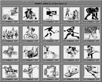 Sport_8_B.iff
