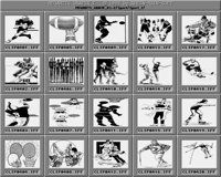 Sport_7_C.iff
