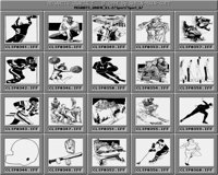 Sport_6_C.iff