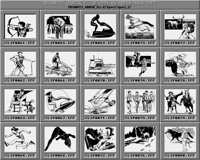 Sport_2_A.iff