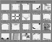Rahmen_09_B.iff