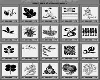 Planzen_1_C.iff