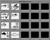Fische.iff