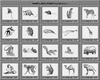 TDiverses_3_A.iff