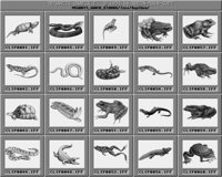 Reptilien_C.iff