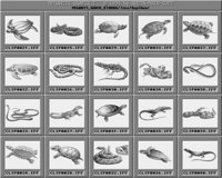 Reptilien_B.iff