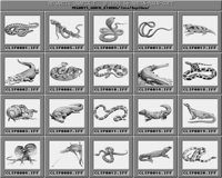 Reptilien_A.iff
