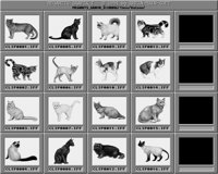 Katzen.iff
