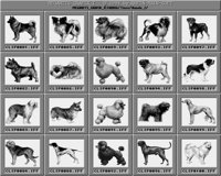 Hunde_2_B.iff