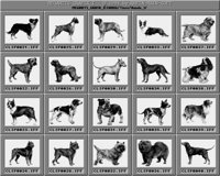 Hunde_1_B.iff