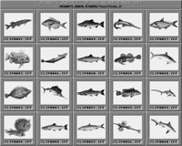 Fische_1_C.iff