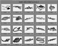 Fische_1_B.iff