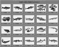 Fische_1_A.iff