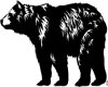 CLIP0312.IFF.gst.iff