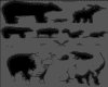 CLIP0253.IFF.cst.iff