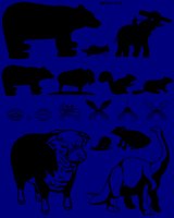 CLIP0253.IFF