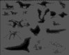 CLIP0252.IFF.cst.iff