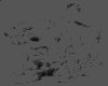 CLIP0008.IFF.cst.iff