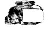 CLIP0053.IFF.gst.iff