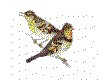 CLIP0087.IFF.cst.iff